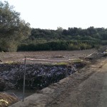 Discarica Fosso Lavandaio Marconia di Pisticci Basilicata Magazine 3