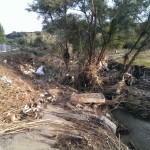 Discarica Fosso Lavandaio Marconia di Pisticci Basilicata Magazine 11