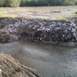 Discarica Fosso Lavandaio Marconia di Pisticci Basilicata Magazine 12