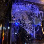 albero-bus-matera-cade1