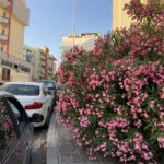 97899FE1-F701-4EC5-BFE4-0AA47557DDE4